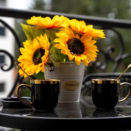 Διαμέρισμα Invivo Luxury Ζλάτιμπορ