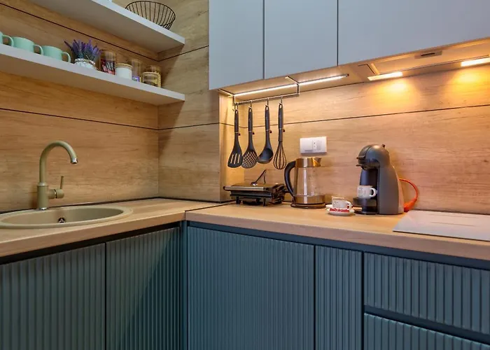 公寓 Invivo Luxury 兹拉蒂博尔