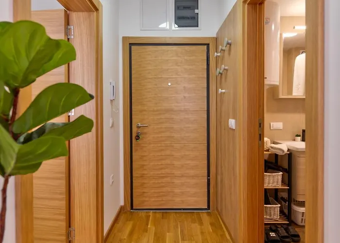 Invivo Luxury * 兹拉蒂博尔