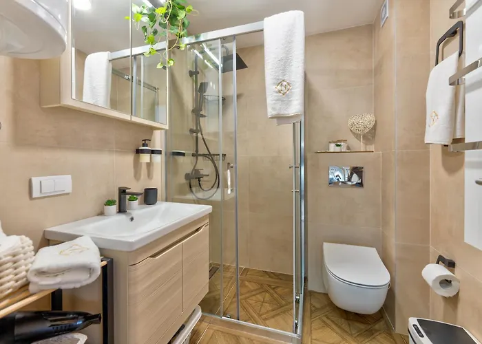 公寓 Invivo Luxury 兹拉蒂博尔