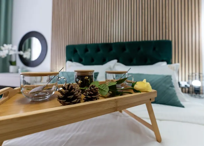 Invivo Luxury 公寓