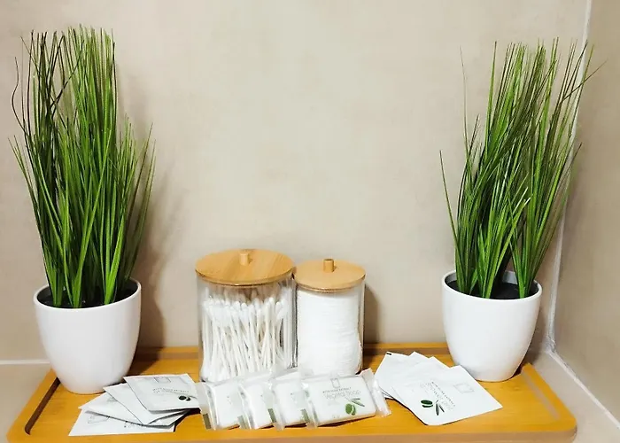 Invivo Luxury 公寓 *